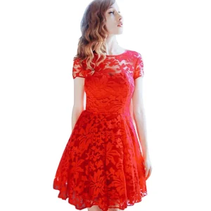 Floral Lace Round Neck Short Sleeve Dress