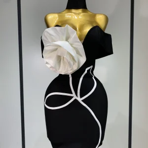 Bodycon Evening Elegant Party Dress