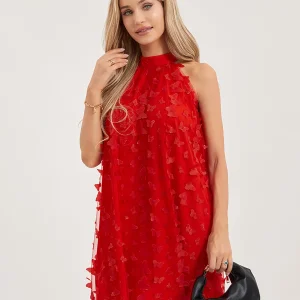 Lace Embroidered Sleeveless Halter Neck Dress